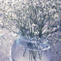 花开了半夏