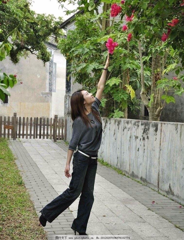 光阴如歌